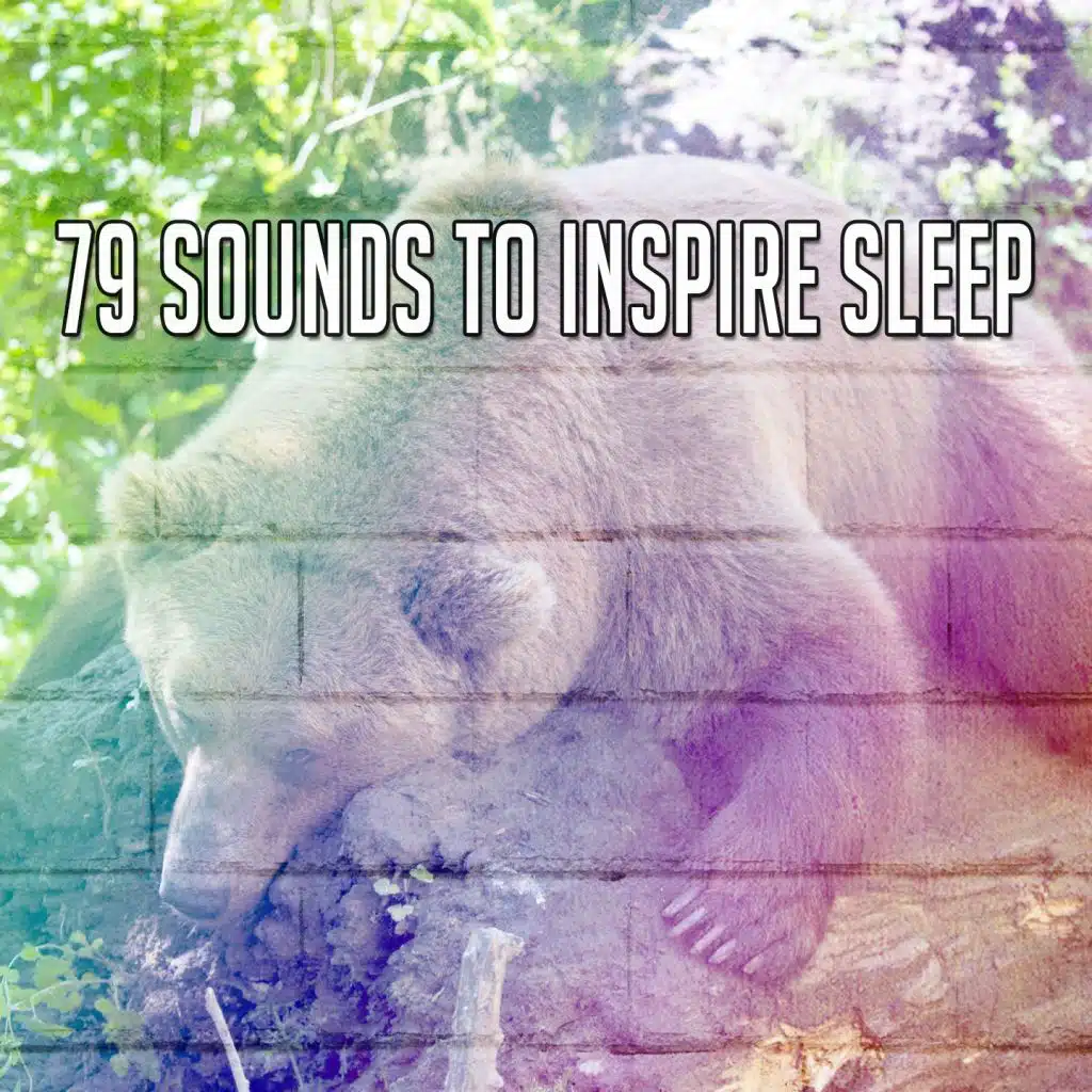 Nature Sound Series - Free Rest. | Play on Anghami