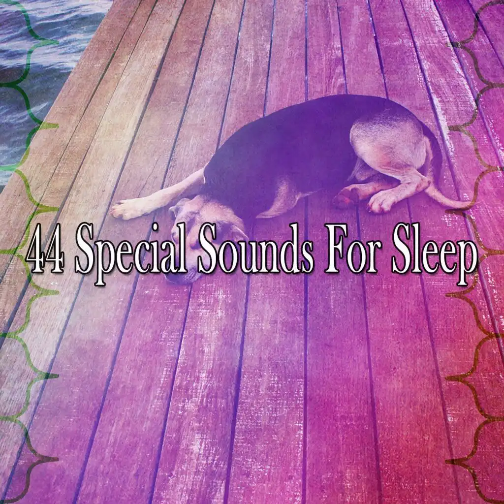 44 Special Sounds for Sleep