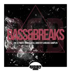 Bass & Breaks (The Ultimate Drum & Bass, Dubstep & Breaks Sampler), Vol. 6