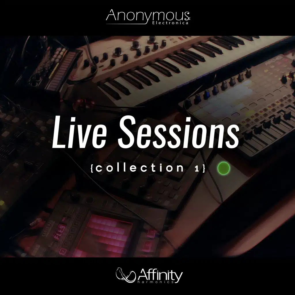 Anonymous Electronica