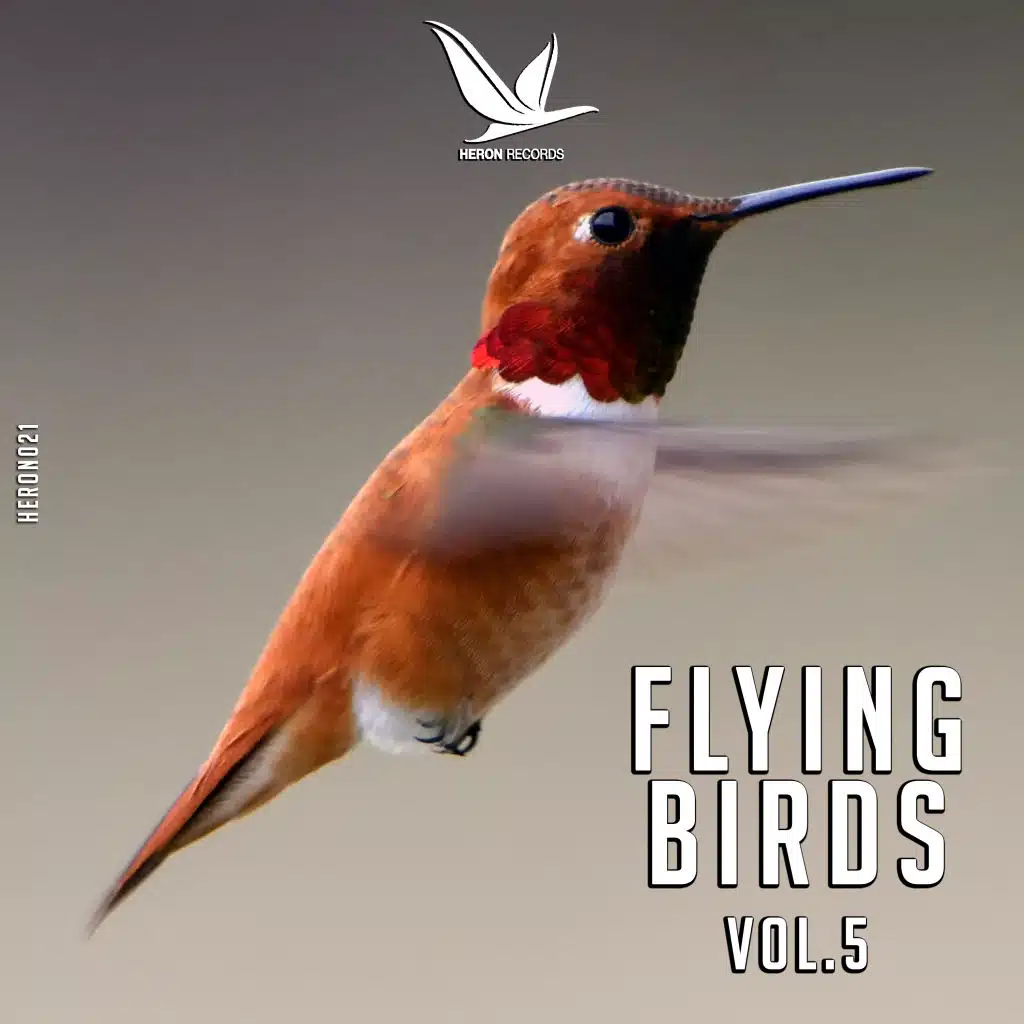 Flying Birds, Vol. 5