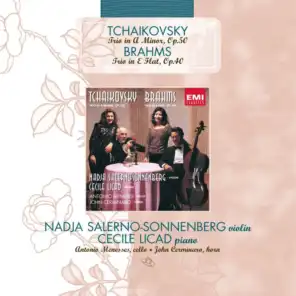 Piano Trio (Tchaikovsky) / Horn Trio (Brahms)