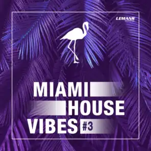 Miami House Vibes #3