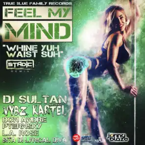 Feel My Mind / Whine Yuh Waist Suh (Stadic Remix) [feat. Vybz Kartel, Don Andre, Pternsky, L.A. Rose & Sita Di Lyrical Diva]