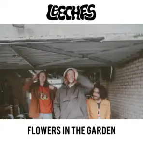 Flowers In The Garden