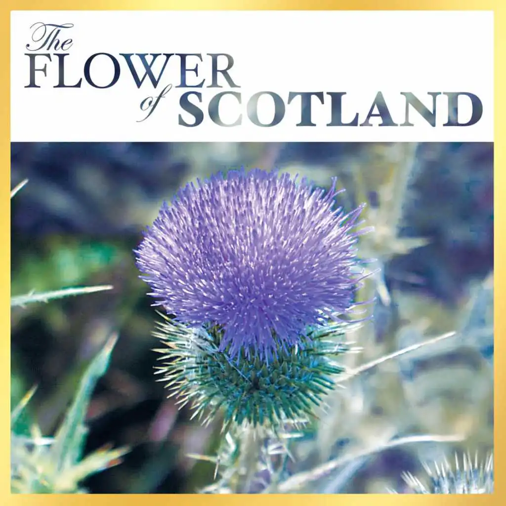 Flower of Scotland (Reprise)