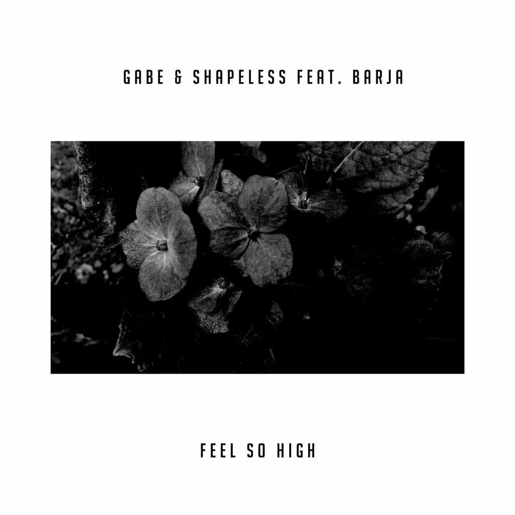 Feel So High (feat. Barja)