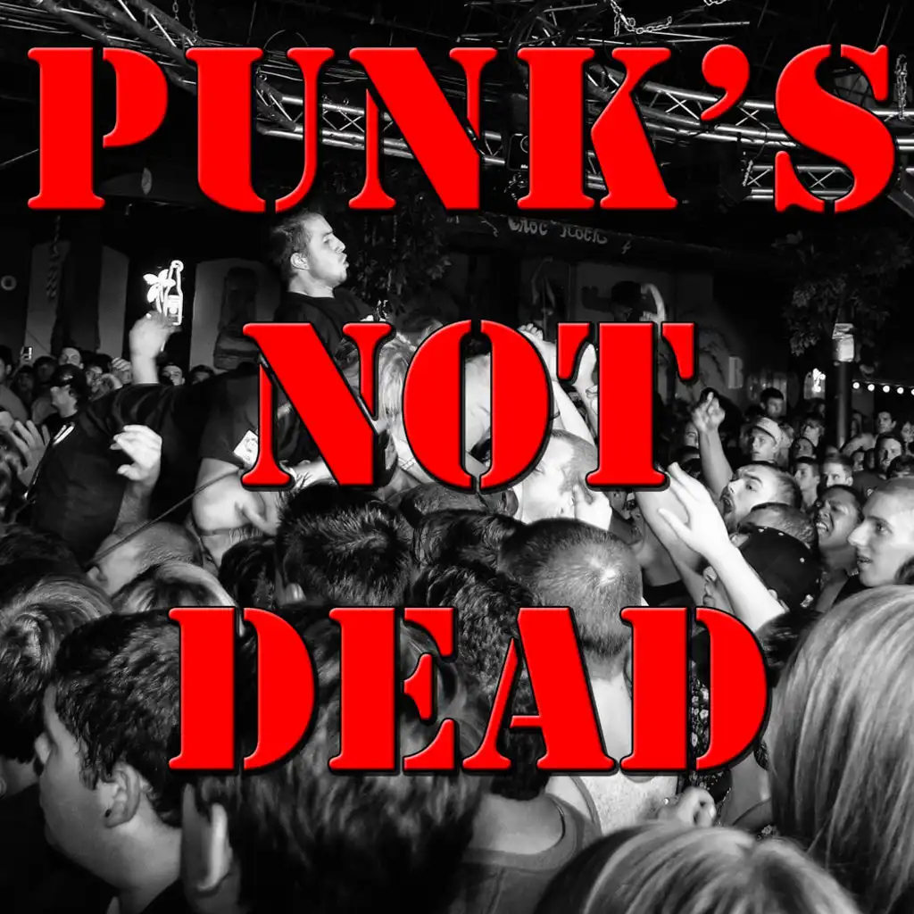 Punk's Not Dead, Vol.2