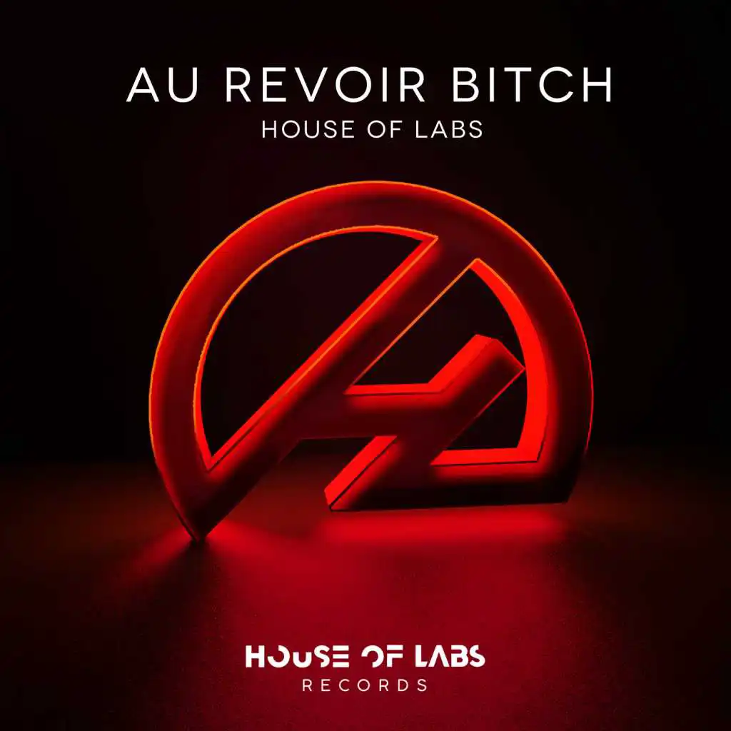 Au Revoir Bitch (Extended Club Mix)