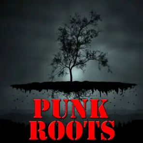 Punk Roots, Vol.1