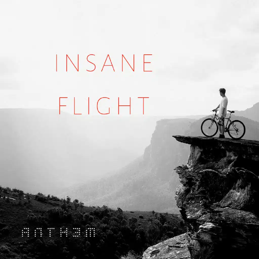 Insane Flight