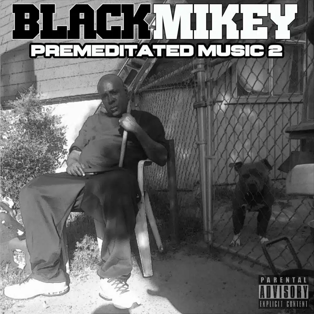 Premeditated Music 2