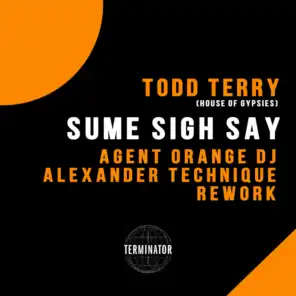 Sume Sigh Say (Agent Orange DJ & Alexander Technique Remix)