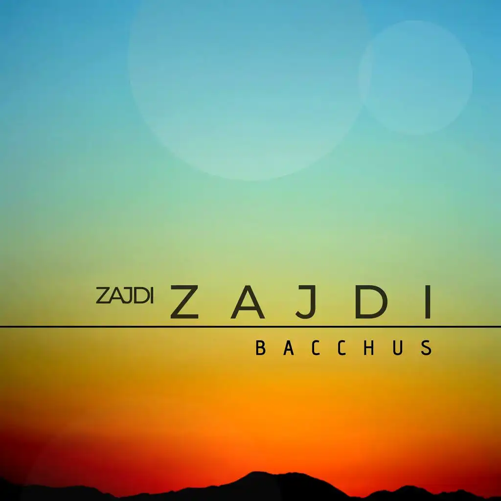 Zajdi Zajdi