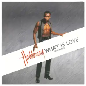 What Is Love (Mosquito Headz - Millennium 7' Remix)