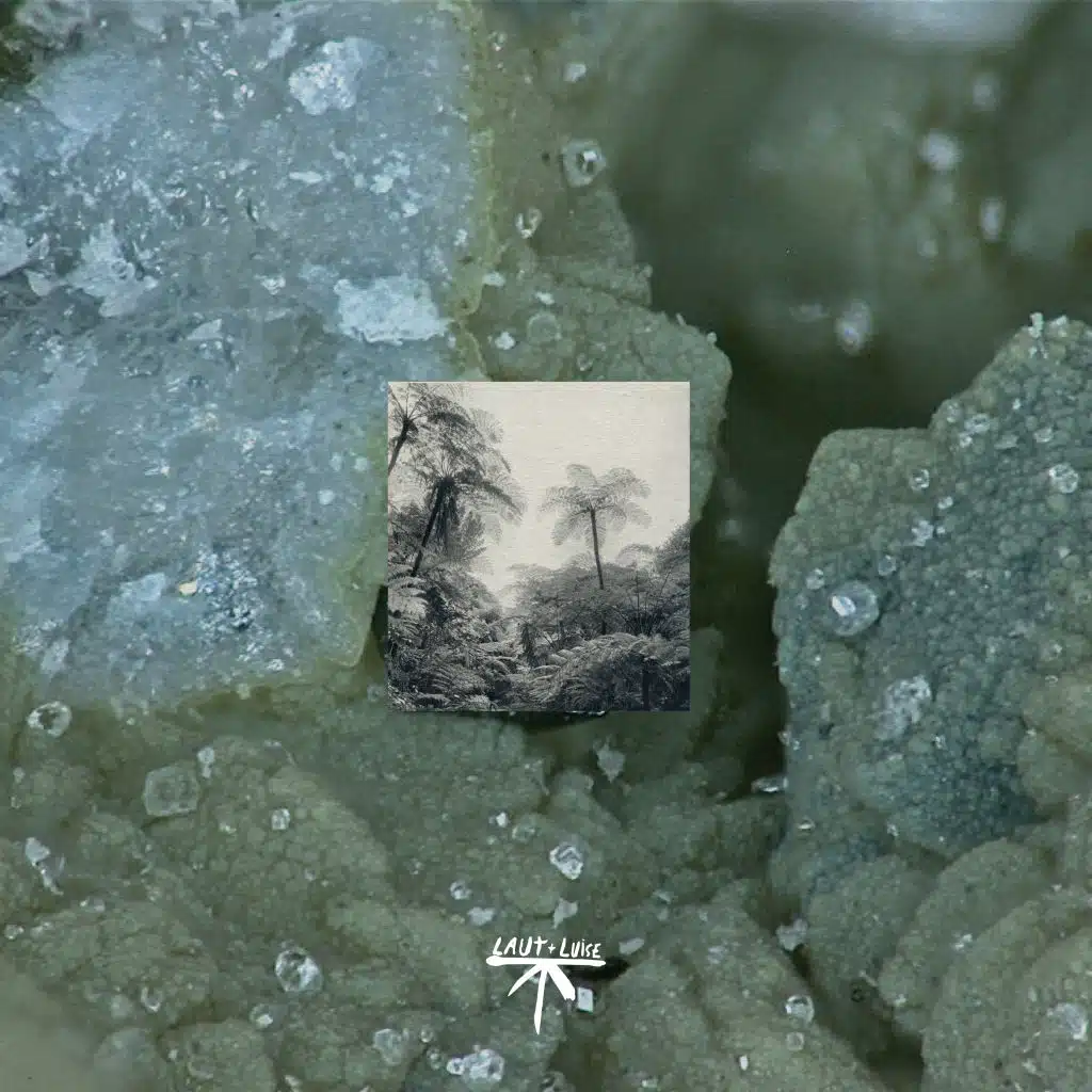 Dollars in the Desert