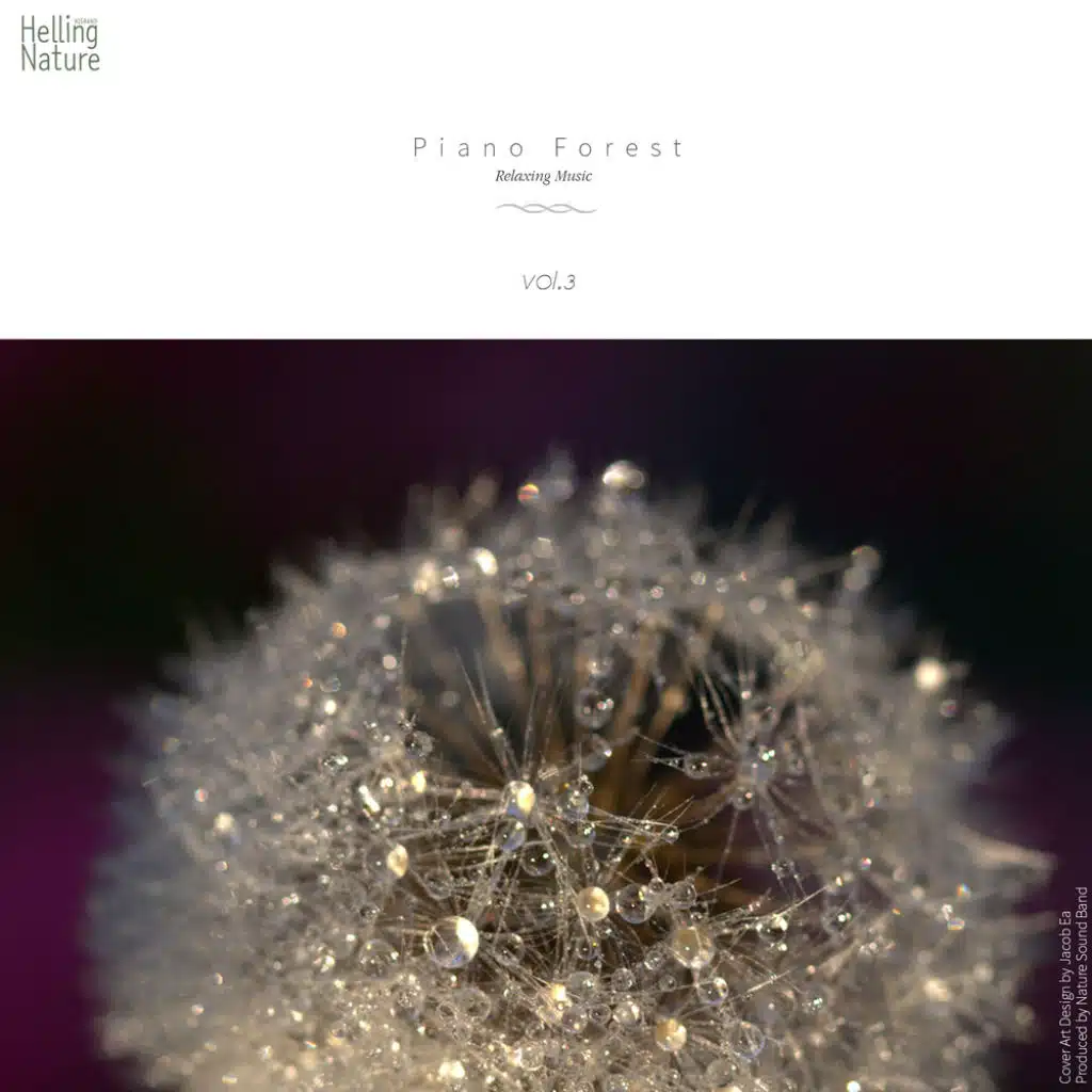 Piano Forest, Vol. 3