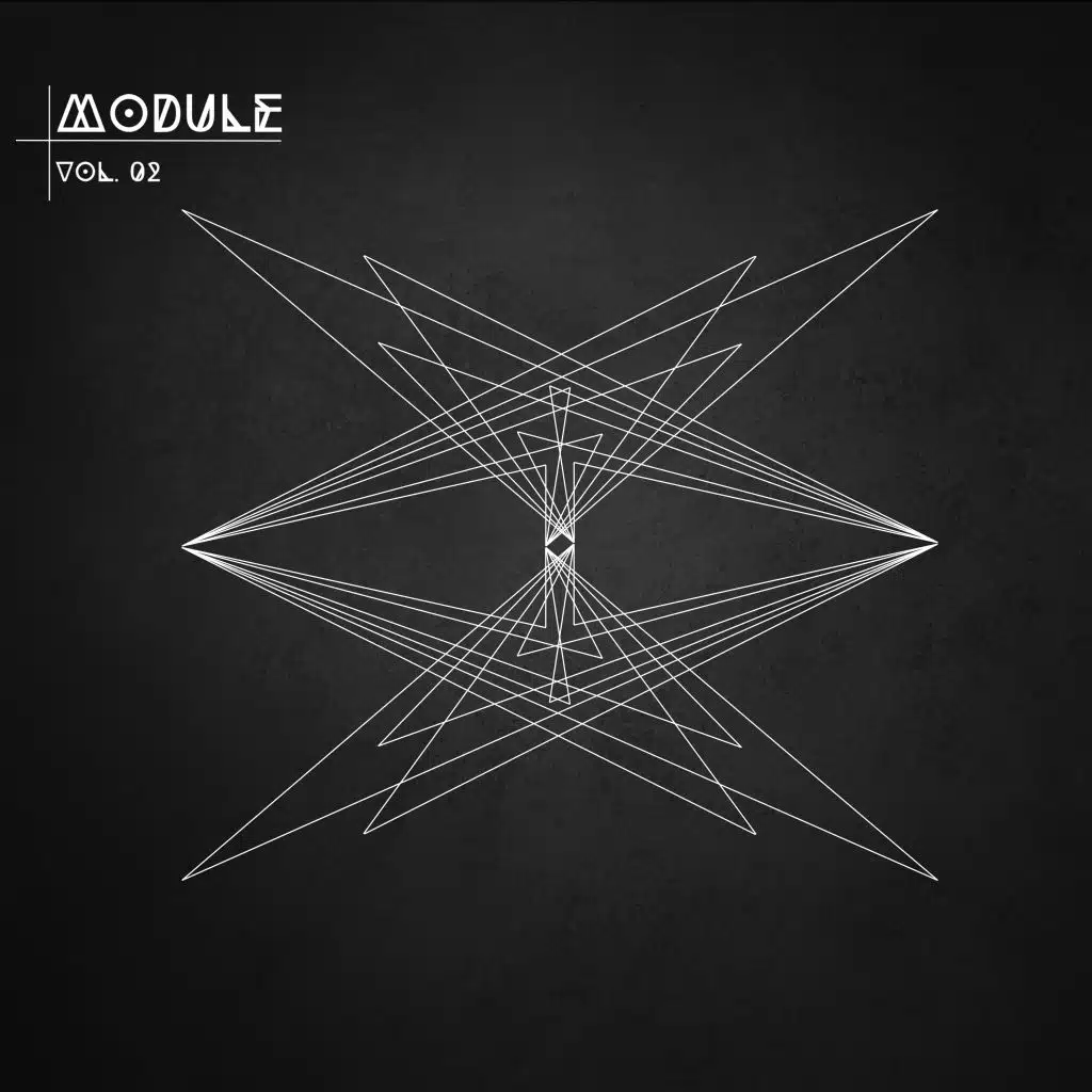 Module, Vol. 02