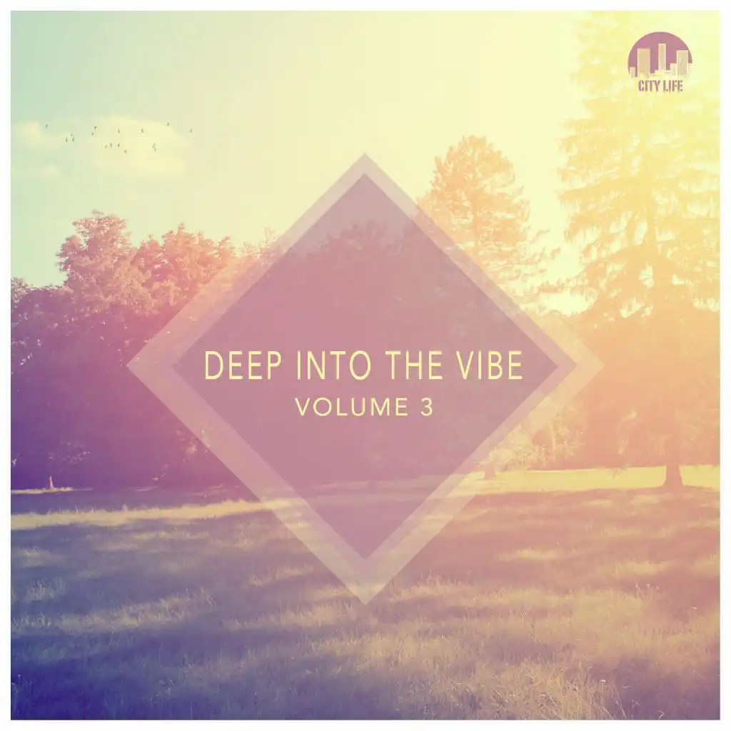 Deep Into the Vibe, Vol. 3