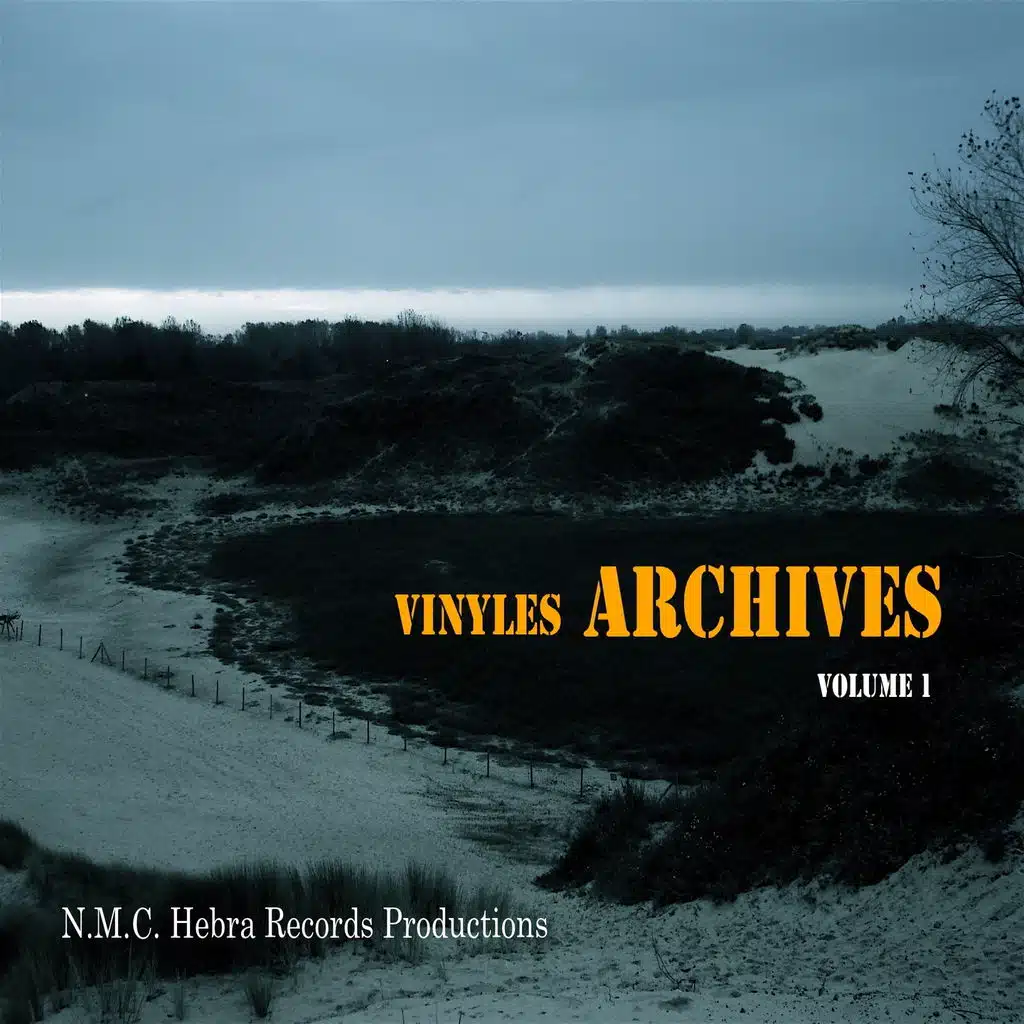 Vinyles archives, vol. 1