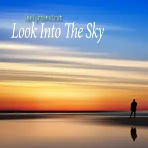 Look Into the Sky (White Beach Mix)