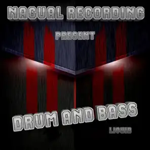 Nagual Recording Pres.: Liquid Drum and Bass