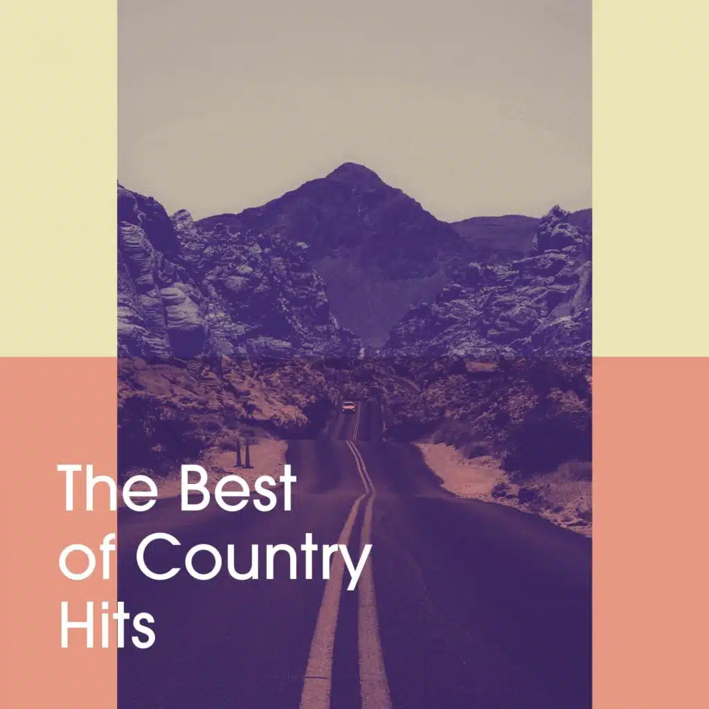 The Best of Country Hits