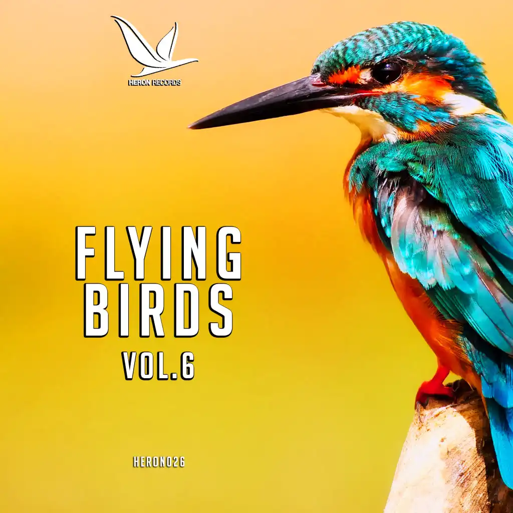 Flying Birds, Vol. 6