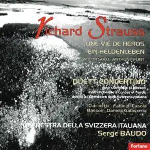Richard Strauss : Une vie de héros, Duett Concertino pour clarinette et basson