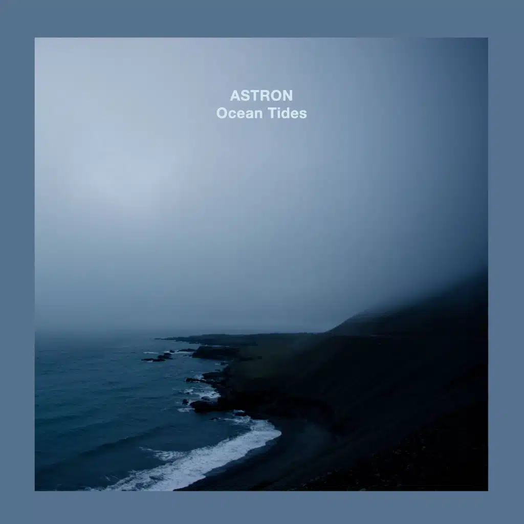 Flowers in the Meadow