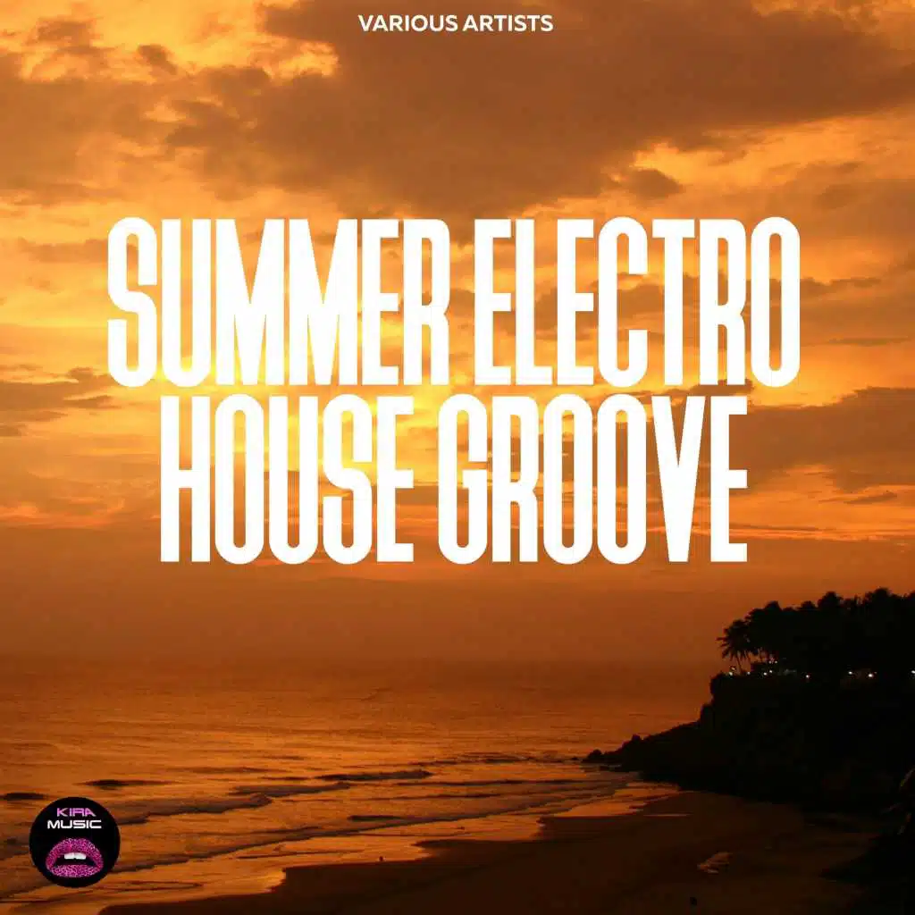 Summer Electro House Groove