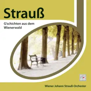 Wiener Johann Strauss Orchester & Martin Sieghart