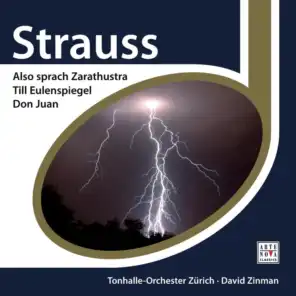 Strauss: Also sprach Zarathustra, Don Juan