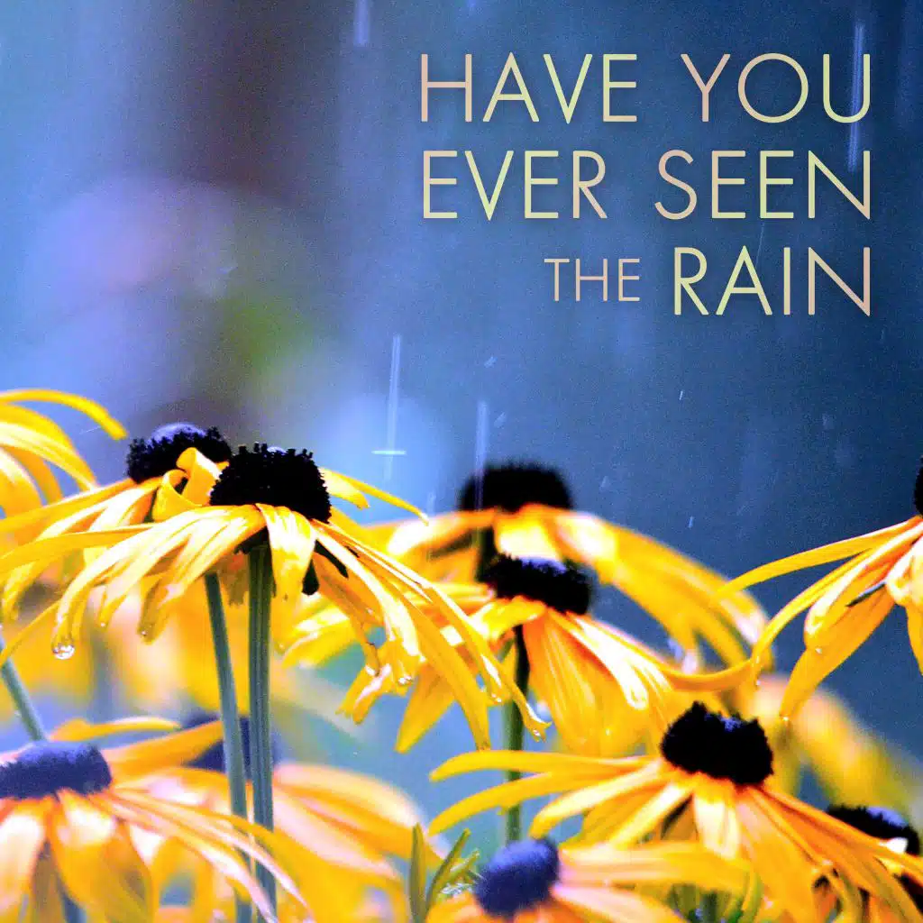 Have You Ever Seen the Rain