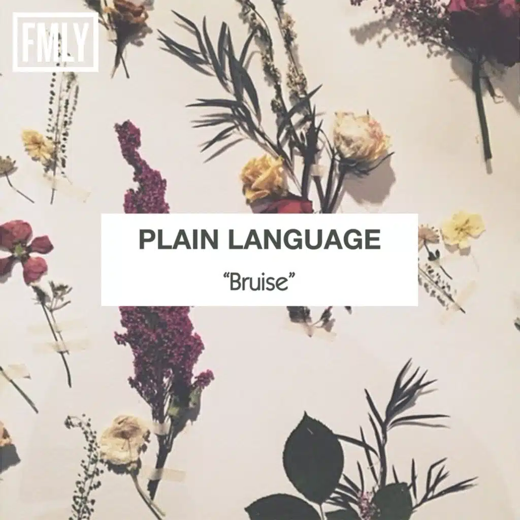 Plain Language