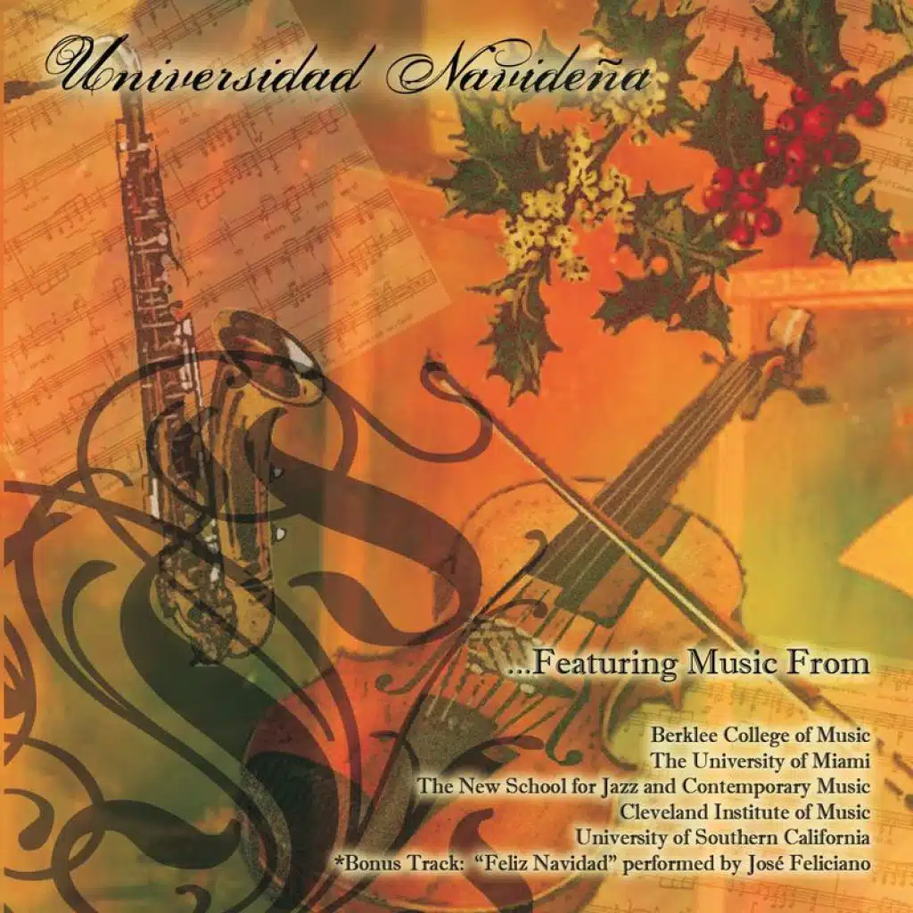 Universidad Navide?a