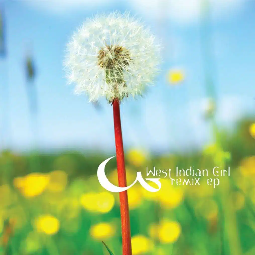 Trip (Richard Fearless Remix)