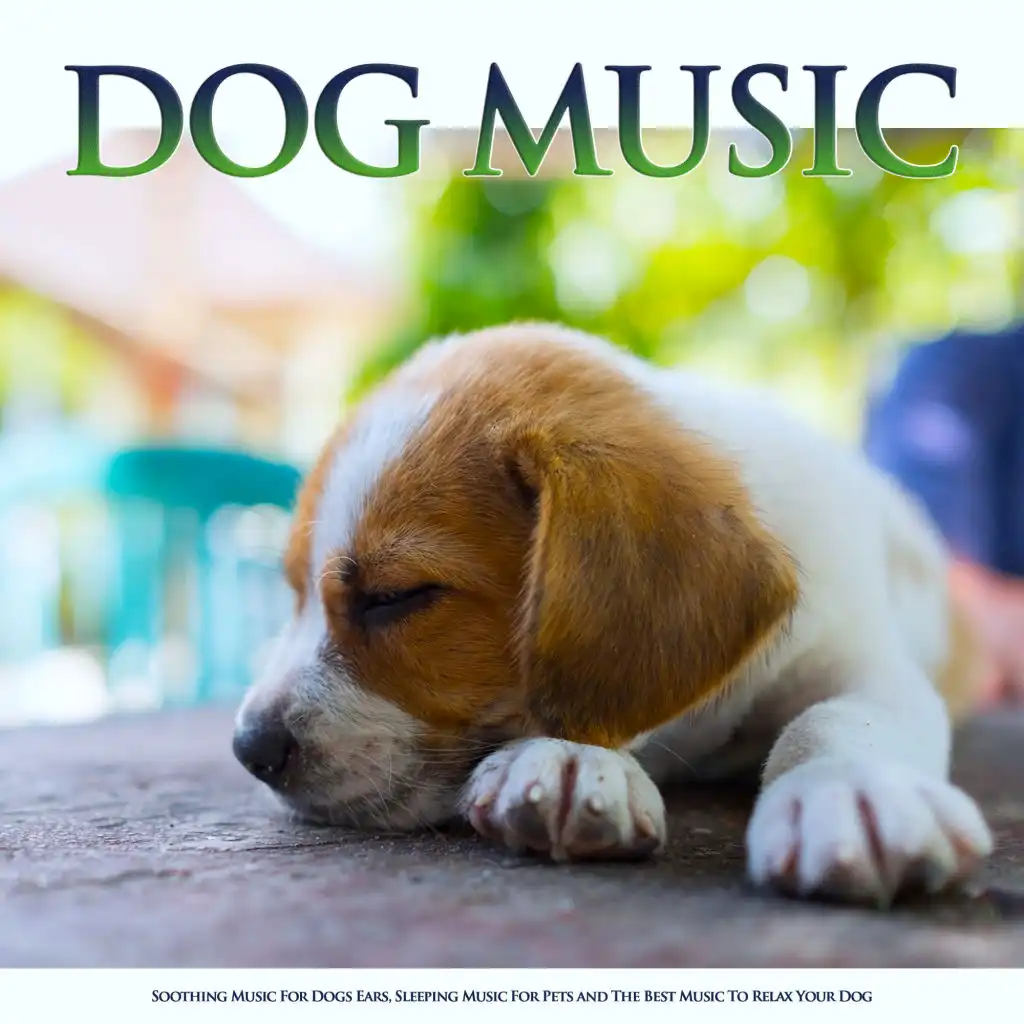 Soothing Sleeping Music For Dogs