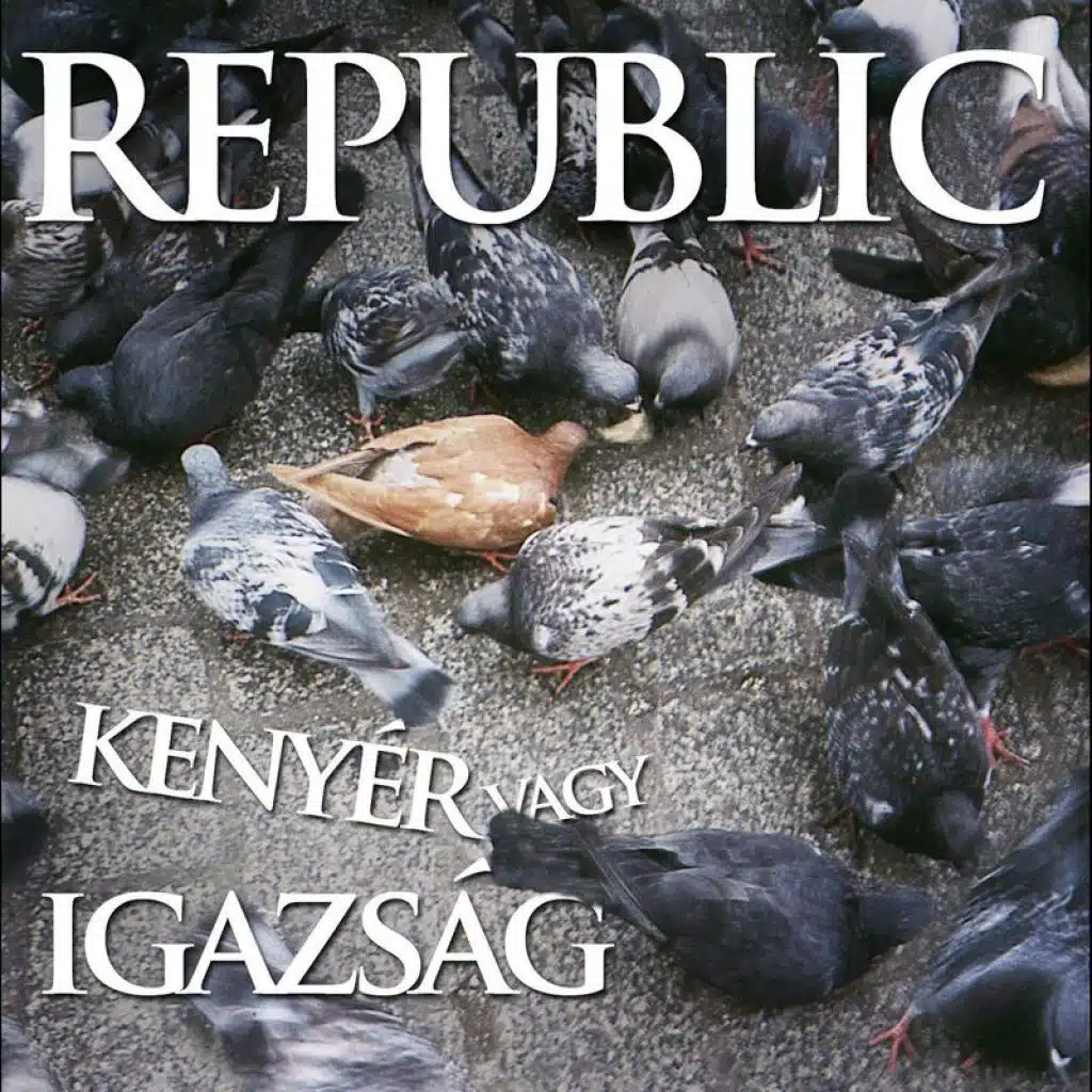 Kenyer Vagy Igazsag