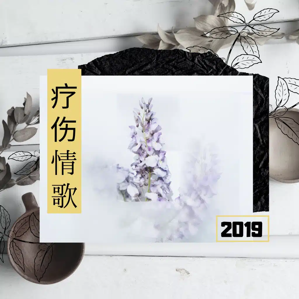 抖抖音乐