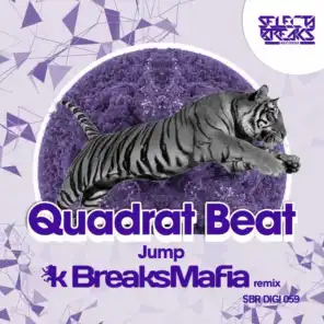 Jump (BreaksMafia Remix)