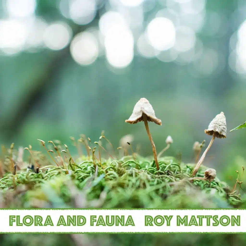 Flora and Fauna