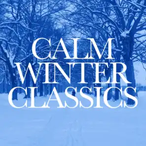 Le quattro stagioni, Concerto No. 4 in F Minor, Op. 8, RV 297, 'Winter': II. Largo
