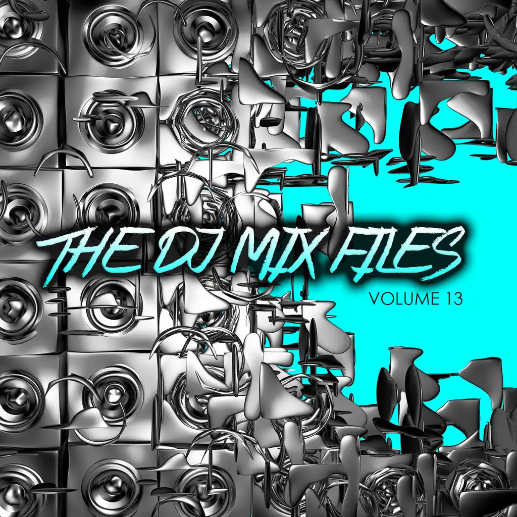 The DJ Mix Files, Vol. 13