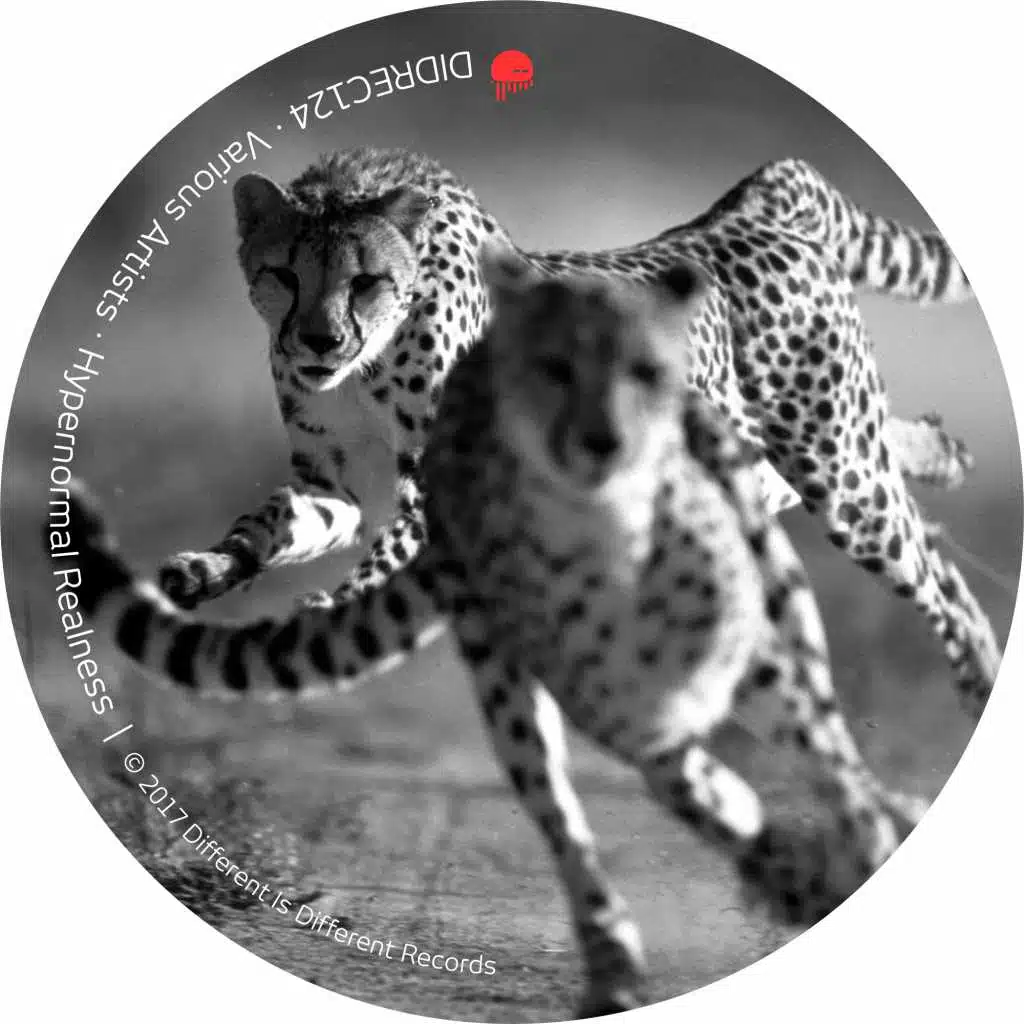 Fancy (Technolatino Swing)