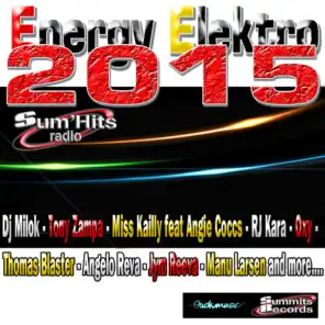 Energy Elektro 2015, Vol. 4 - EDM selection by Sum'Hits Radio