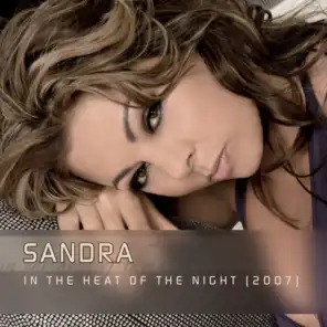 In The Heat Of The Night (Remixes 2007)