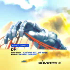 Daylight (DM Remix)