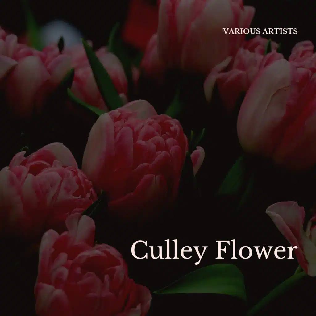 Frank Culley and His Orchestra