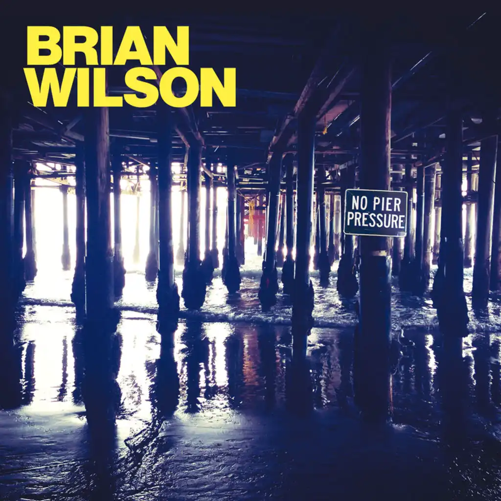 One Kind Of Love (From “Love & Mercy – The Life, Love And Genius Of Brian Wilson” Soundtrack)